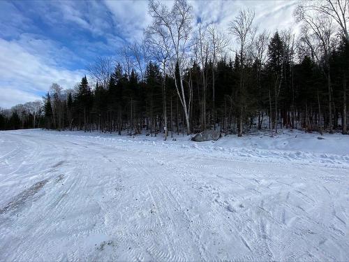 Overall view - Rue De L'Héritage, Sainte-Adèle, QC 