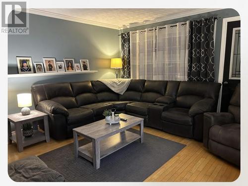15 Circular Road, Springdale, NL - Indoor Photo Showing Living Room