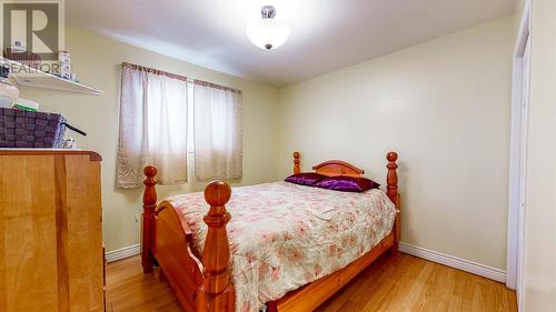 24 Harding'S Hill, Portugal Cove- St.Phillips, NL - Indoor Photo Showing Bedroom