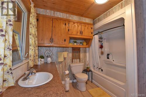 1523 Route 116, Salmon River Rd, NB - Indoor Photo Showing Bathroom