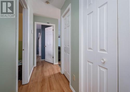 44 Orcan Drive, Placentia, NL - Indoor Photo Showing Other Room