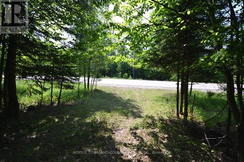 3799 County Road 21, Minden Hills, ON 