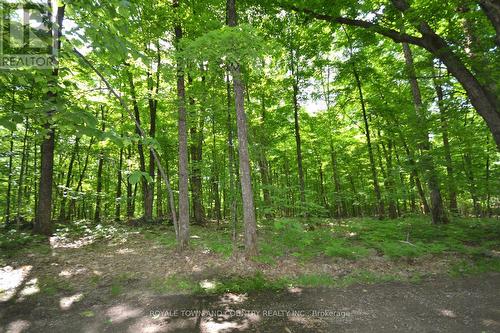 3799 County Road 21, Minden Hills, ON 