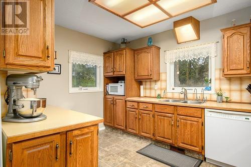 487 Lumby Mabel Lake Road, Lumby, BC - Indoor Photo Showing Kitchen With Double Sink