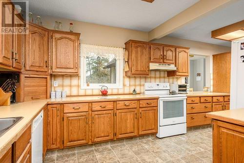487 Lumby Mabel Lake Road, Lumby, BC - Indoor Photo Showing Kitchen