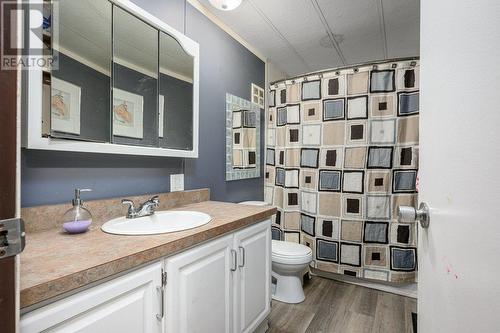 487 Lumby Mabel Lake Road, Lumby, BC - Indoor Photo Showing Bathroom