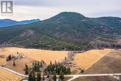 487 Lumby Mabel Lake Road, Lumby, BC - Outdoor With View