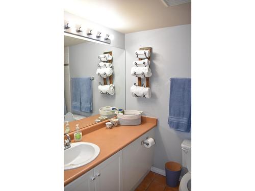 108 - 2060 Summit Drive, Panorama, BC - Indoor Photo Showing Bathroom