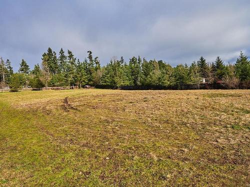 1058 Middlegate Rd, Errington, BC - Outdoor With View
