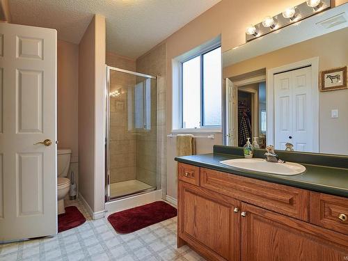 1058 Middlegate Rd, Errington, BC - Indoor Photo Showing Bathroom