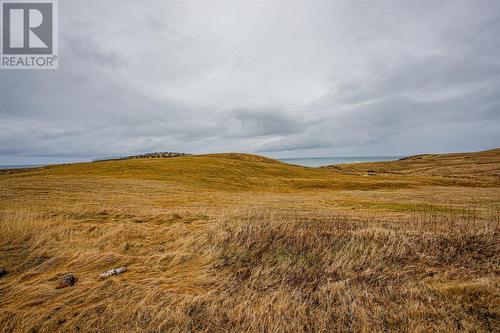 9 Flagstaff Road, St. Brides, NL 