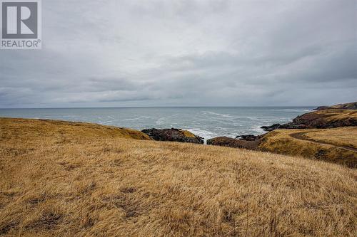 9 Flagstaff Road, St. Brides, NL 