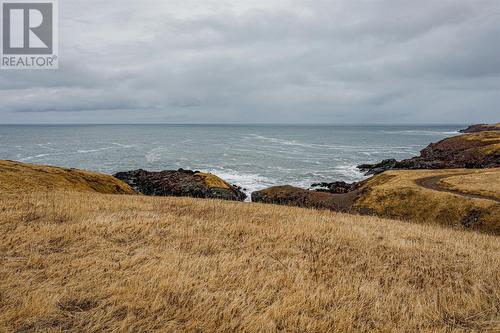 9 Flagstaff Road, St. Brides, NL 