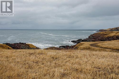 9 Flagstaff Road, St. Brides, NL 