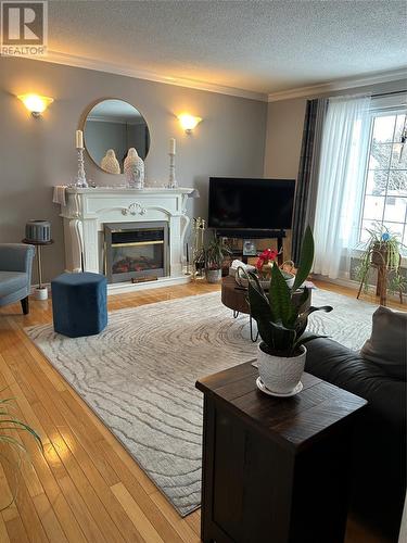 40 Park Drive, Corner Brook, NL - Indoor Photo Showing Living Room With Fireplace
