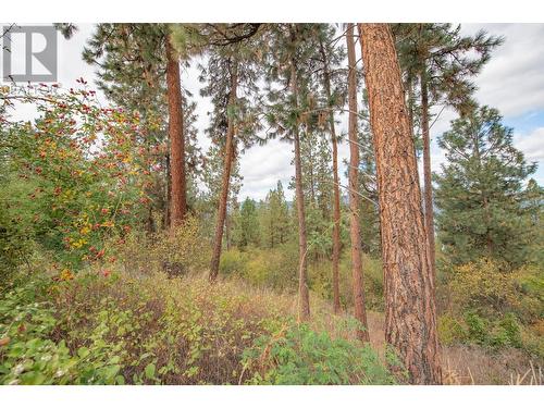 16490 Commonage Road, Lake Country, BC - Outdoor With View