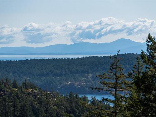 477 Seedtree Rd, Sooke, BC - Outdoor With View