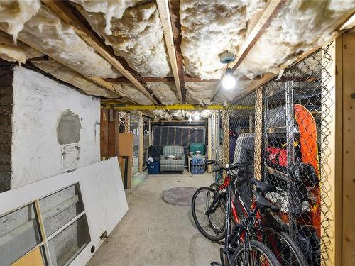 737 Vancouver St, Victoria, BC - Indoor Photo Showing Basement