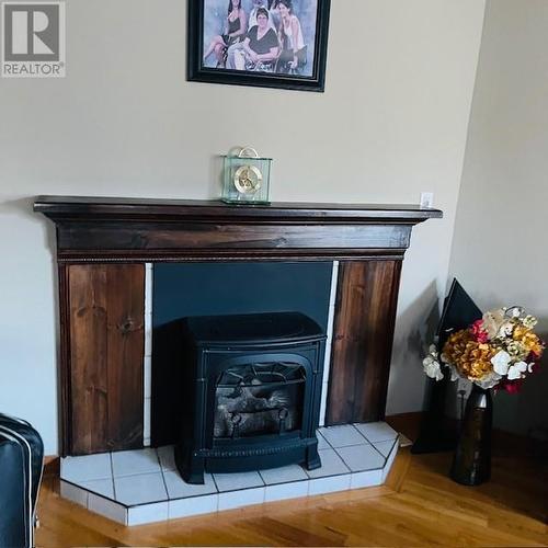 NATURAL GAS STOVE FIREPLACE - 20467 Concession 5 Road, Green Valley, ON - Indoor With Fireplace