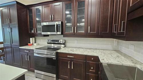 B 124 Pleasant Valley Drive, Pelican Lake, MB - Indoor Photo Showing Kitchen With Upgraded Kitchen