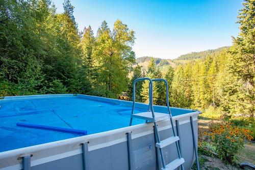 1110 Highway 22, Rossland, BC - Outdoor With Above Ground Pool