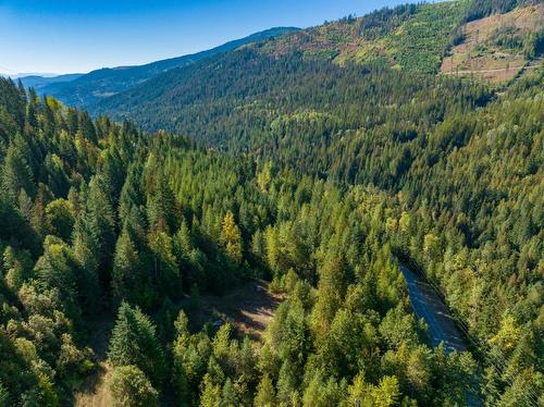 1110 22 Highway, Rossland, BC - Outdoor With View