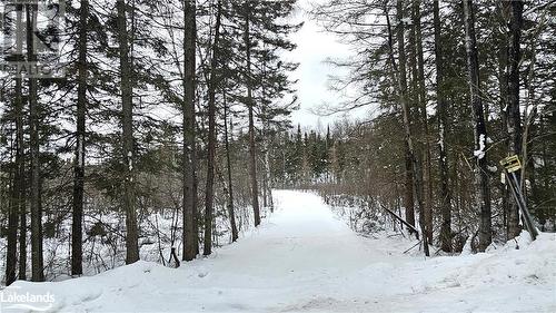 Private Entrance to Waterfront - 308 King Lake Road, South River, ON - Outdoor With View