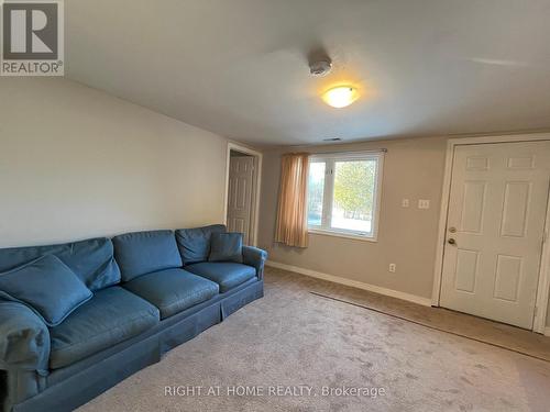 34 Broadview Street, Collingwood, ON - Indoor Photo Showing Living Room