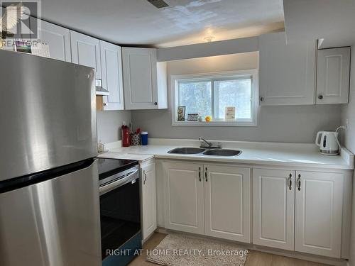 34 Broadview Street, Collingwood, ON - Indoor Photo Showing Kitchen With Double Sink