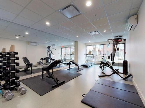 Exercise room - 206-1248 Av. De L'Hôtel-De-Ville, Montréal (Ville-Marie), QC - Indoor Photo Showing Gym Room