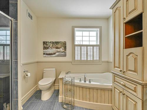 Salle de bains - 20 Ch. Des Fleurs-Sauvages, Mont-Tremblant, QC - Indoor Photo Showing Bathroom