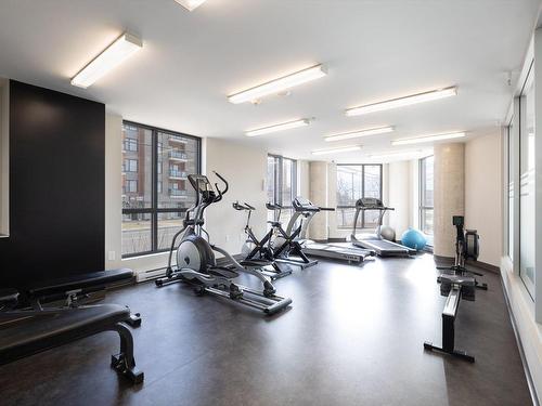 Exercise room - 1403-7051 Rue Allard, Montréal (Lasalle), QC - Indoor Photo Showing Gym Room