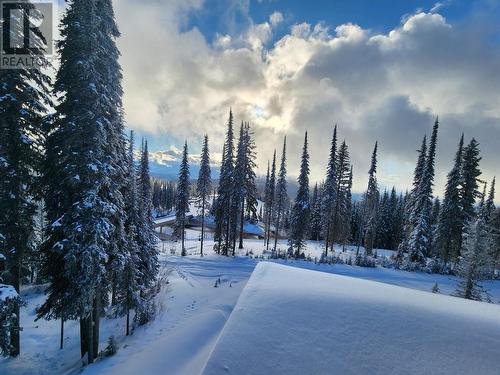 9891 Cathedral Drive, Silver Star, BC - Outdoor With View