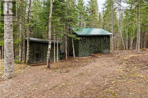 239 Forks Stream Rd, Canaan Forks, NB - Outdoor