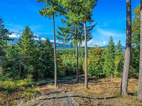 3829 Winget Pl, Chemainus, BC - Outdoor With View