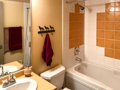 308 - 2080 Summit Drive, Panorama, BC - Indoor Photo Showing Bathroom