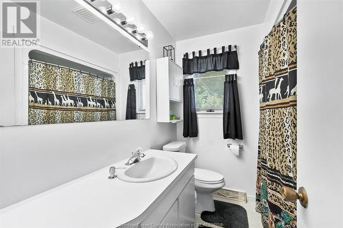 493 Bertha, Windsor, ON - Indoor Photo Showing Bathroom