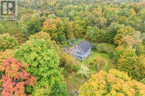 25442 Highway 62 Dr, Bancroft, ON - Outdoor With View
