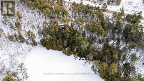 8860 County Rd 41, Addington Highlands, ON 