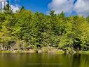 8860 County Rd 41, Addington Highlands, ON  - Outdoor With Body Of Water With View 