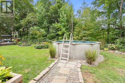 319 Old L'Amable Road, Bancroft, ON - Outdoor With Above Ground Pool With Backyard