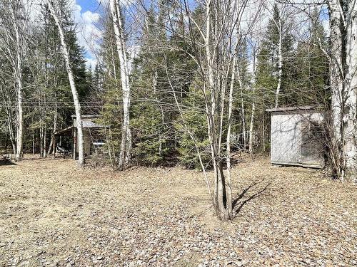 Backyard - 285 Ch. Lafrance, Grand-Remous, QC - Outdoor
