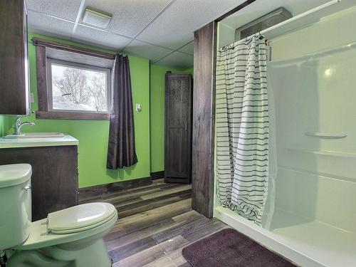 Salle de bains - 217 1Re Rue E., Palmarolle, QC - Indoor Photo Showing Bathroom