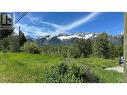 85 Cokato  Road, Fernie, BC 