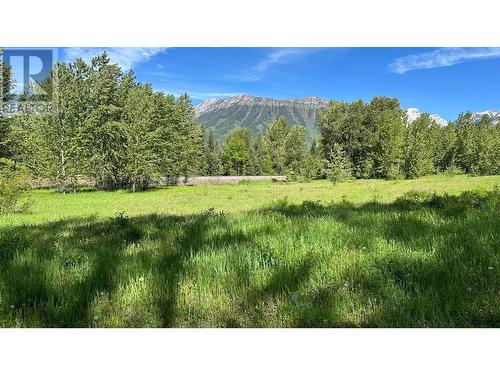 85 Cokato  Road, Fernie, BC 