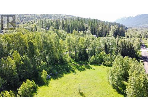 85 Cokato  Road, Fernie, BC 