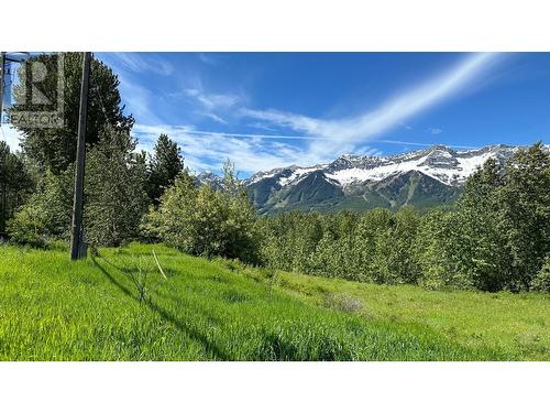 85 Cokato  Road, Fernie, BC 