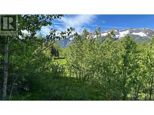 85 Cokato  Road, Fernie, BC 