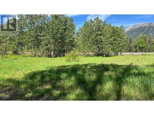 85 Cokato  Road, Fernie, BC 