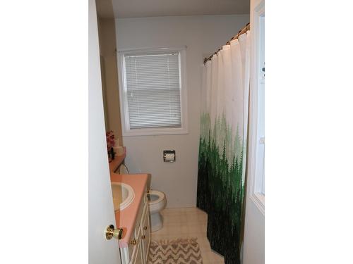 204 7Th Avenue, Nakusp, BC - Indoor Photo Showing Bathroom